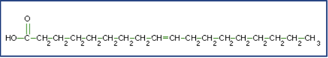 <p>What macromolecule is this?</p>