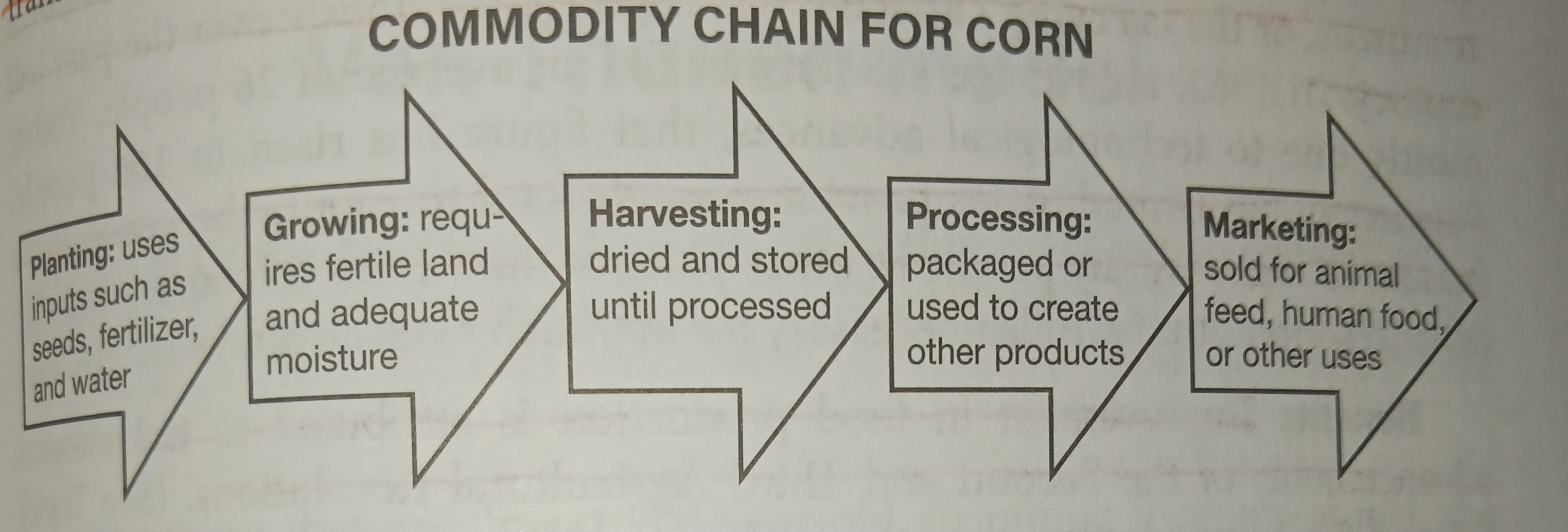 <p>Links connecting production and distribution places, leading to commodities being exchanged on the world market.</p>
