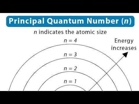 <p>The principal quantum number (n) indicates the energy level and size of an atomic orbital, representing the shell in which an electron resides. </p>