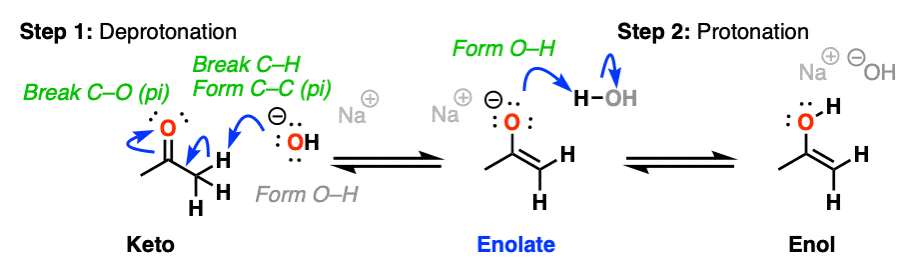 <ul><li><p>keto-enol tautomerization (base-catalyzed)</p><ul><li><p>occurs via enolates</p></li><li><p>reversible</p></li><li><p>forms enols from ketones and vice versa</p></li></ul></li><li><p>reacts with ketones and aldehydes</p></li></ul><p></p>