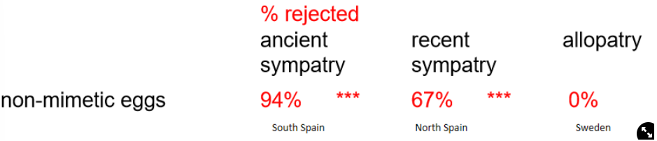 <ul><li><p>cuckoo used to only be in south spain but now i found in north spain too</p></li><li><p>experiment→ placed eggs into nests at three sites</p></li><li><p>results→ ancient sympatry had the highest rejection, recent sympatry has a medium amount of rejection and there was no rejection in allopatry</p><p><strong>→ host defences can evolve very quickly</strong></p></li></ul>