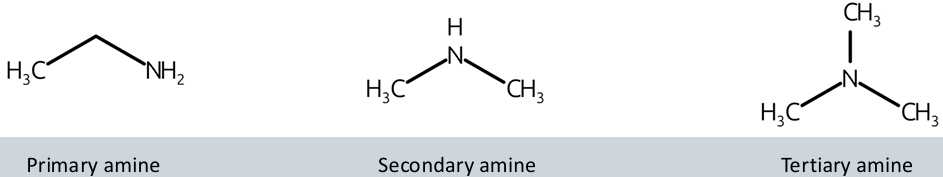 <p>primary amine, secondary amine, and tertiary amine</p>
