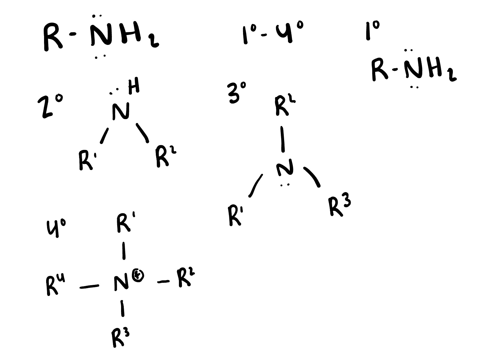 <p>are organic compounds that contain a nitrogen atom bonded to one or more alkyl or aryl groups. They can act as bases and are commonly derived from ammonia. </p>