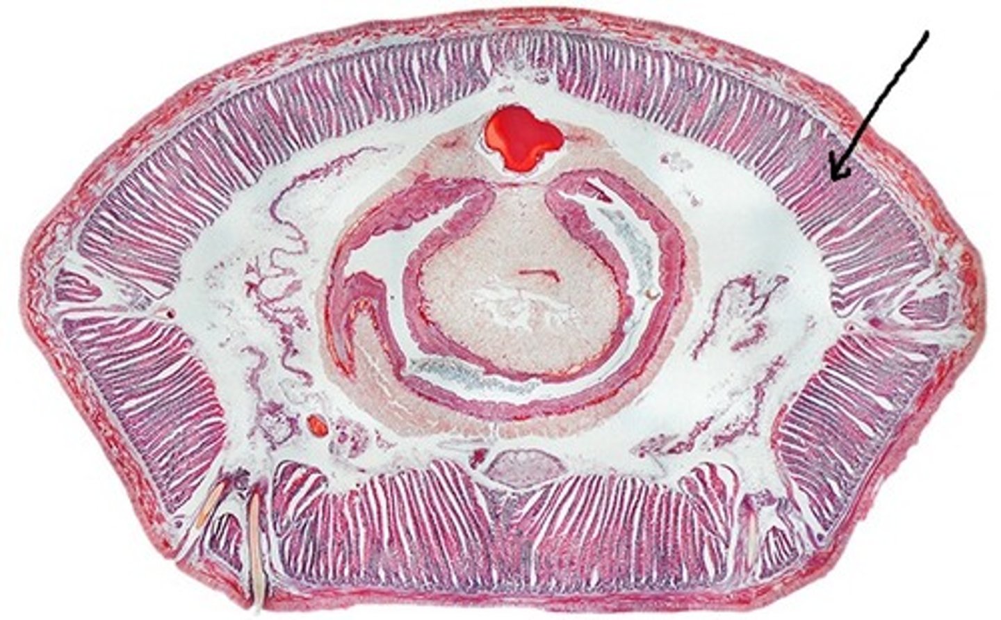 <p>What is this photo pointing to?</p>