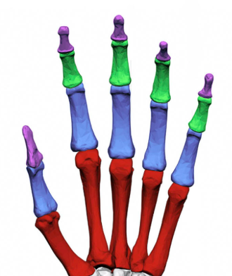 <p>(green)</p>