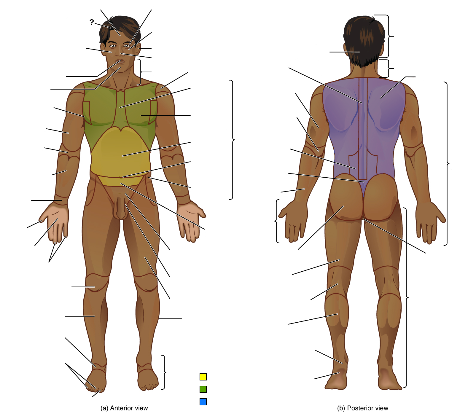 <p>Identify the indicated region</p>