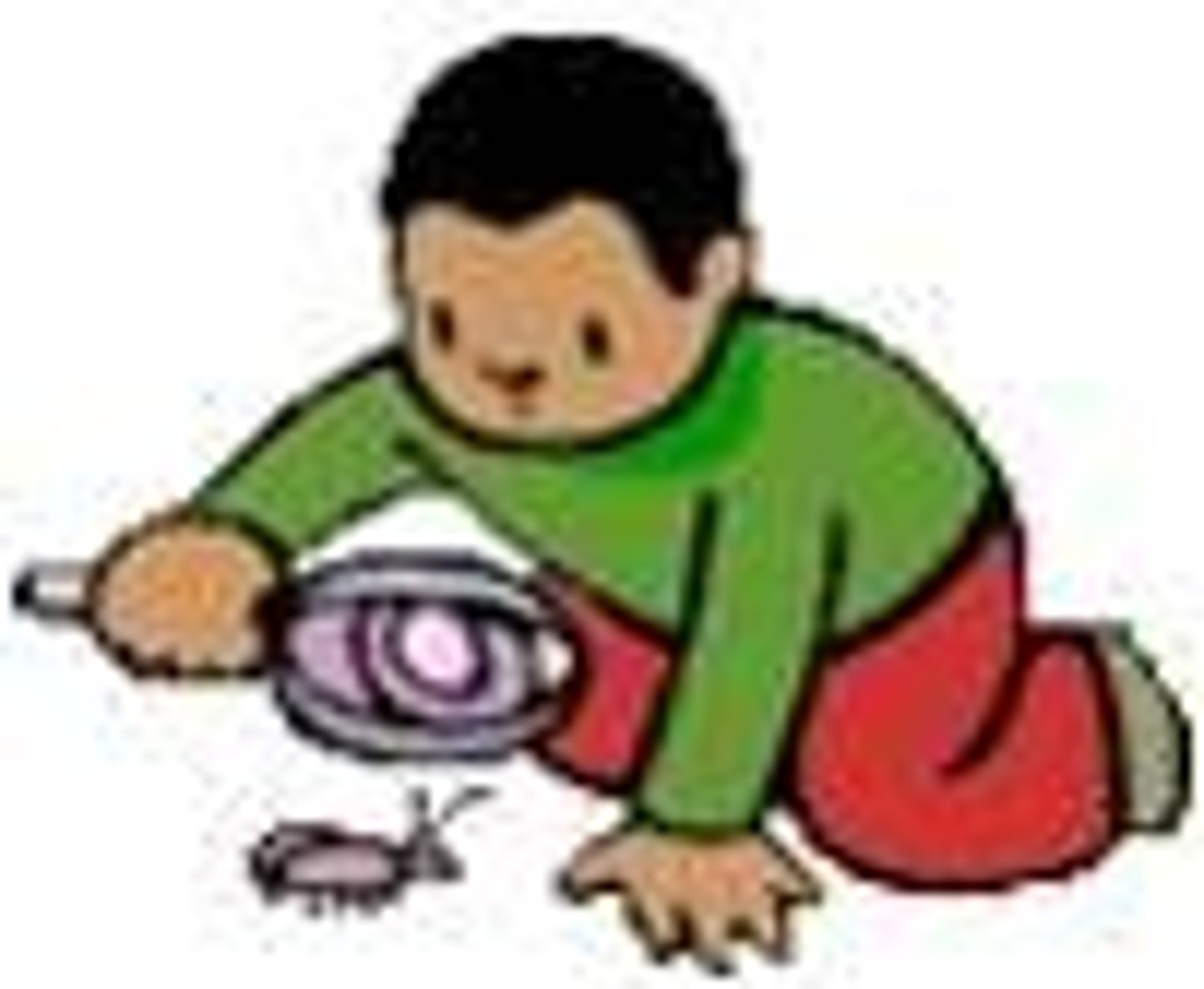 <p>To examine closely.</p>