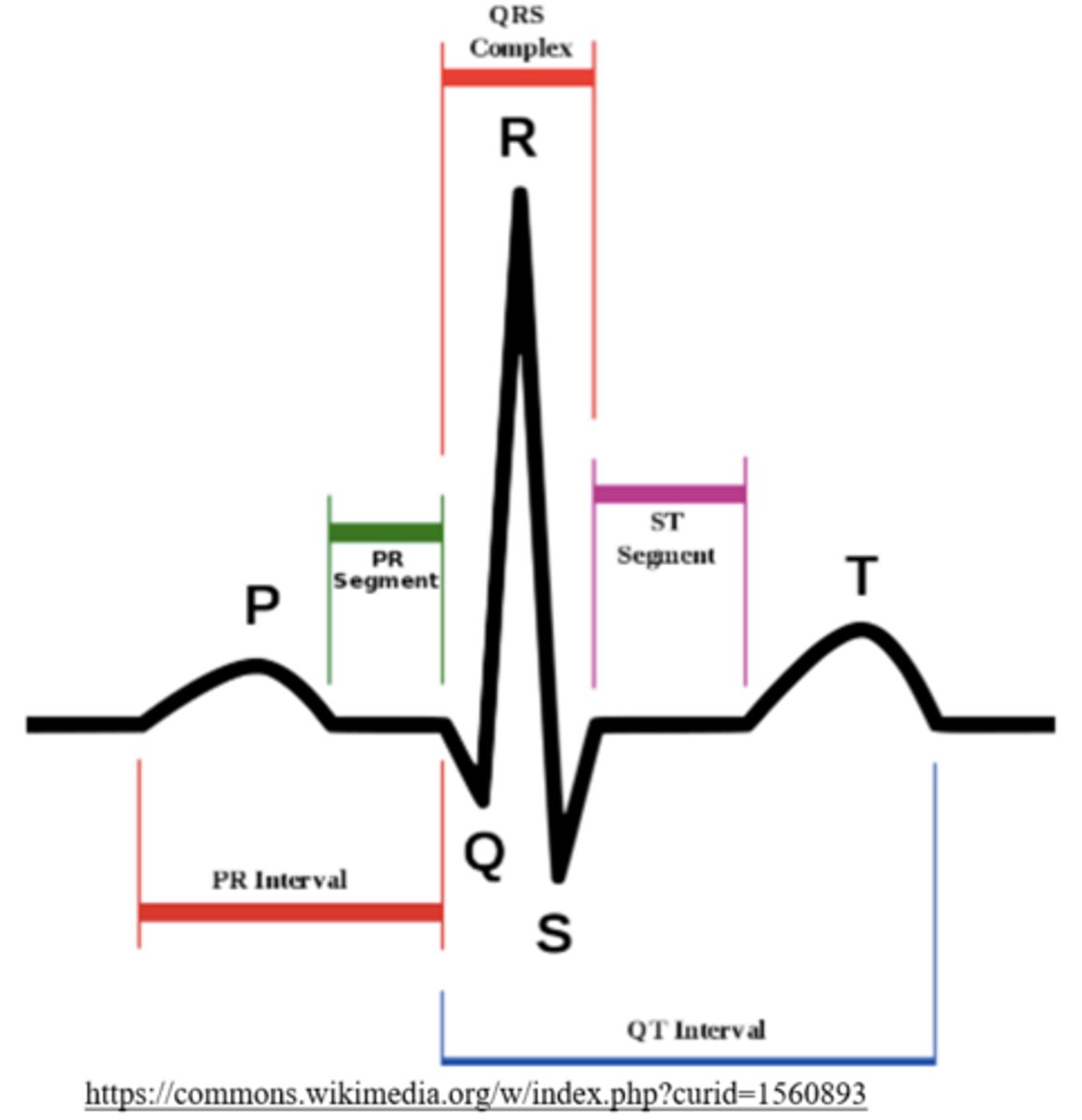 <p>p wave</p>