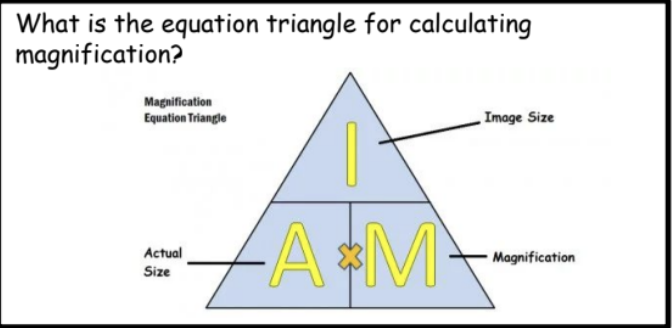 <p>equation for calculating magnificatioon </p>
