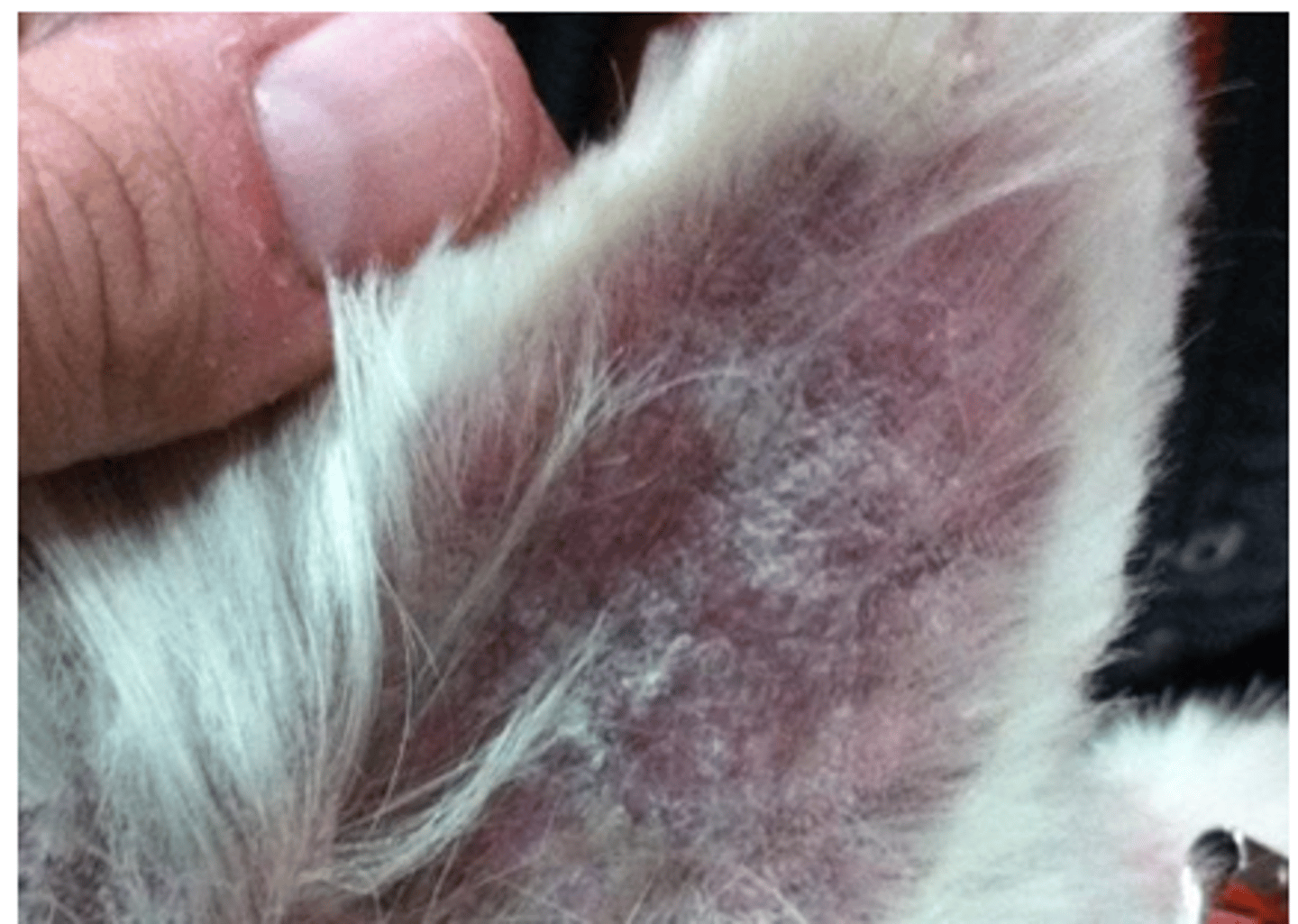 <p>what is this called?</p>