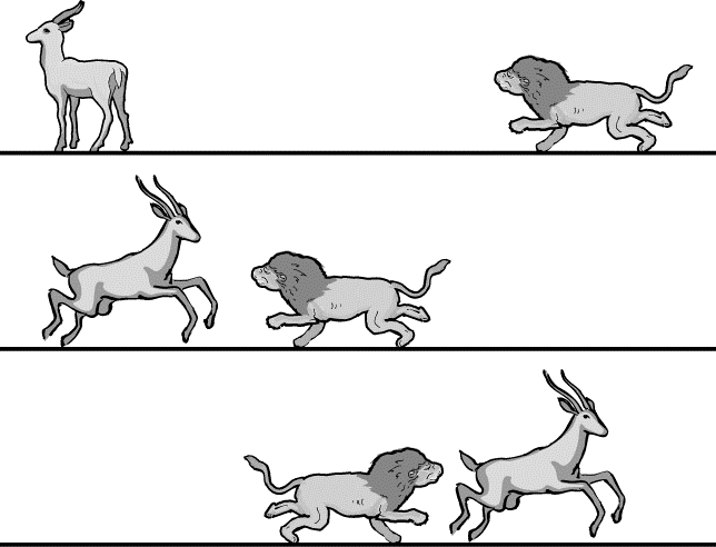 A lion is running at constant speed toward a gazelle that is standing still, as shown in the top figure above. After several seconds, the gazelle notices the lion and accelerates directly toward him, hoping to pass the lion and force him to reverse direction. As the gazelle accelerates toward and past the lion, the lion changes direction and accelerates in pursuit of the gazelle. The lion and the gazelle eventually each reach constant but different speeds. Which of the following sets of graphs shows a reasonable representation of the velocities of the lion and the gazelle as functions of time?
