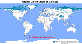 Soil of the Tundra
