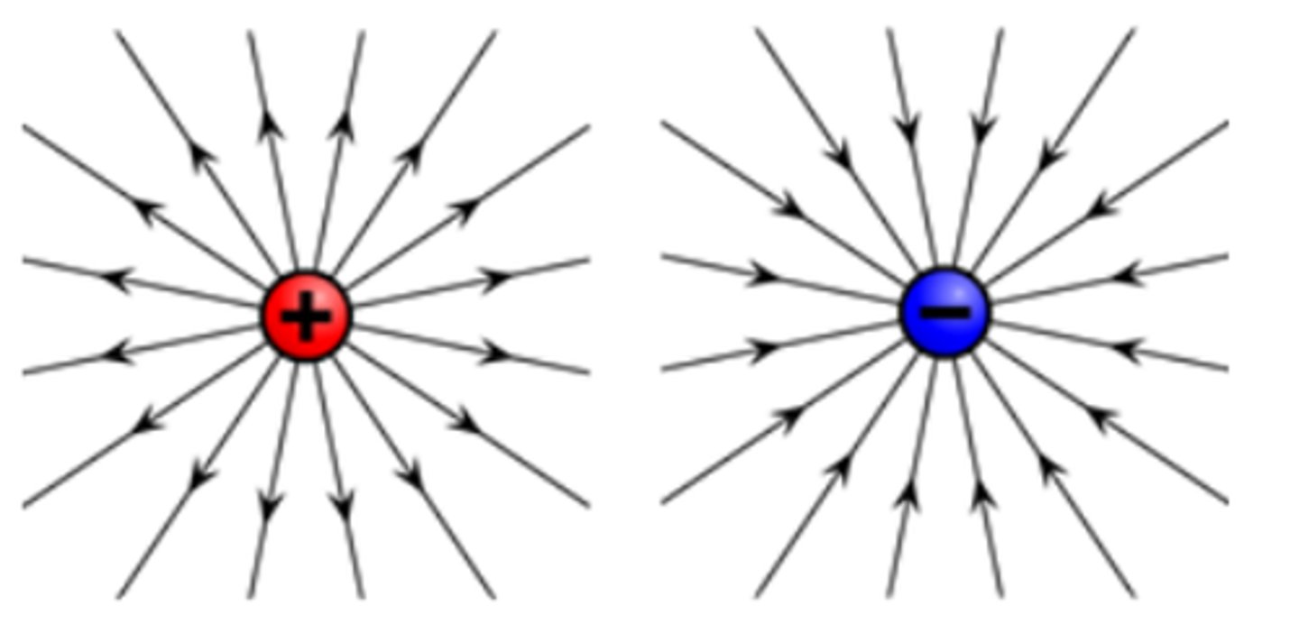 <p>They have a radial electric field with lines pointing like spokes on a wheel:</p>