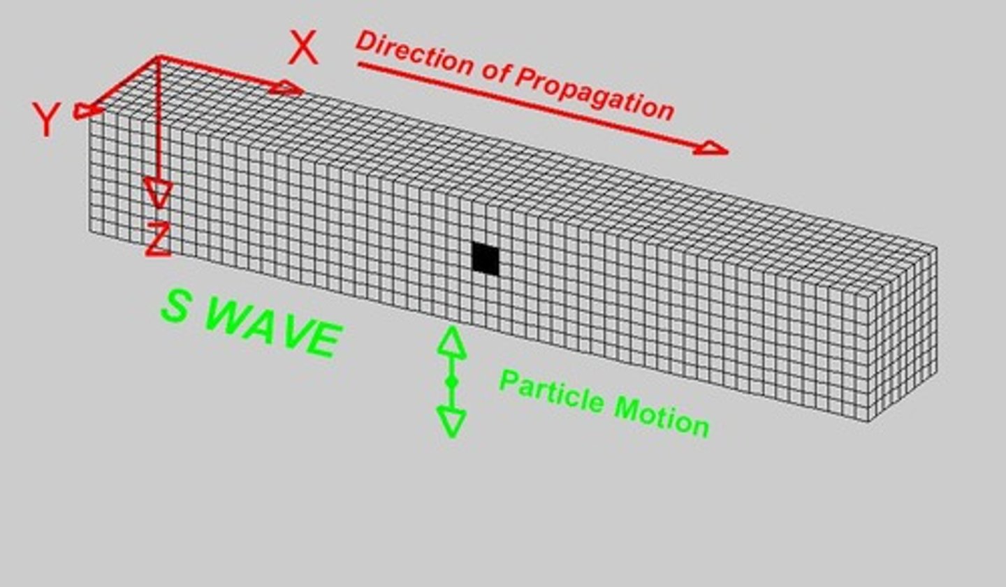 <p>Primary or compressional waves that are the fastest seismic waves and can travel through solids, liquids, and gases.</p>