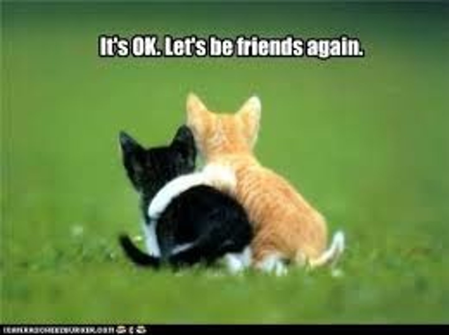 <p>to become friends again</p>