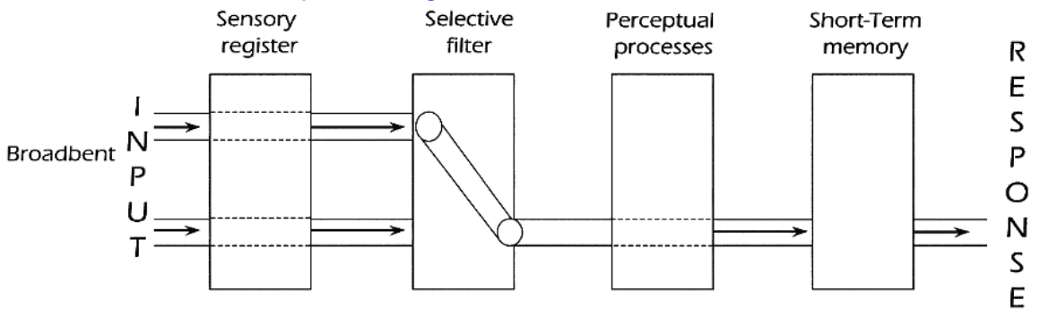 <p>Early Selection Model</p>