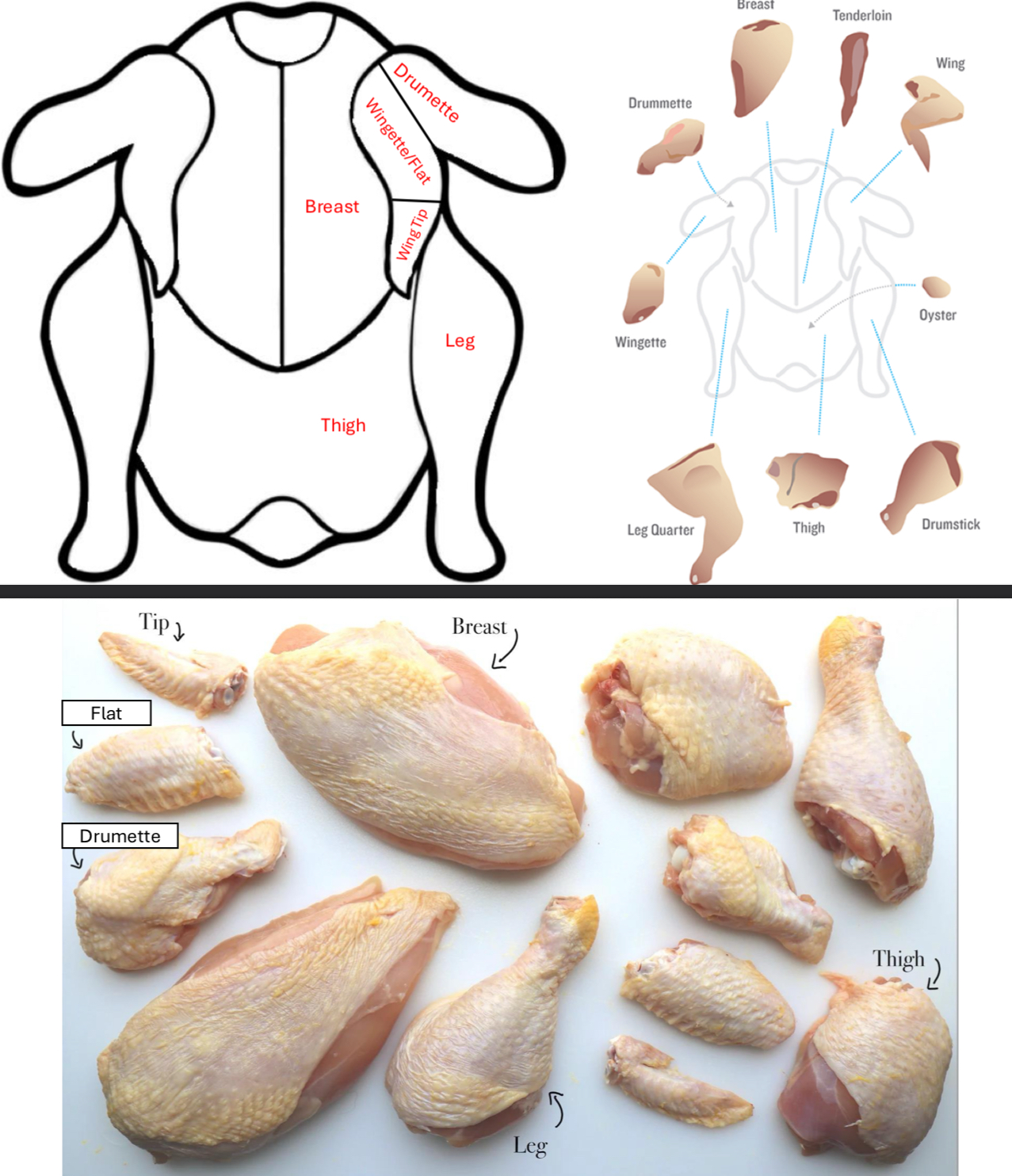 knowt flashcard image
