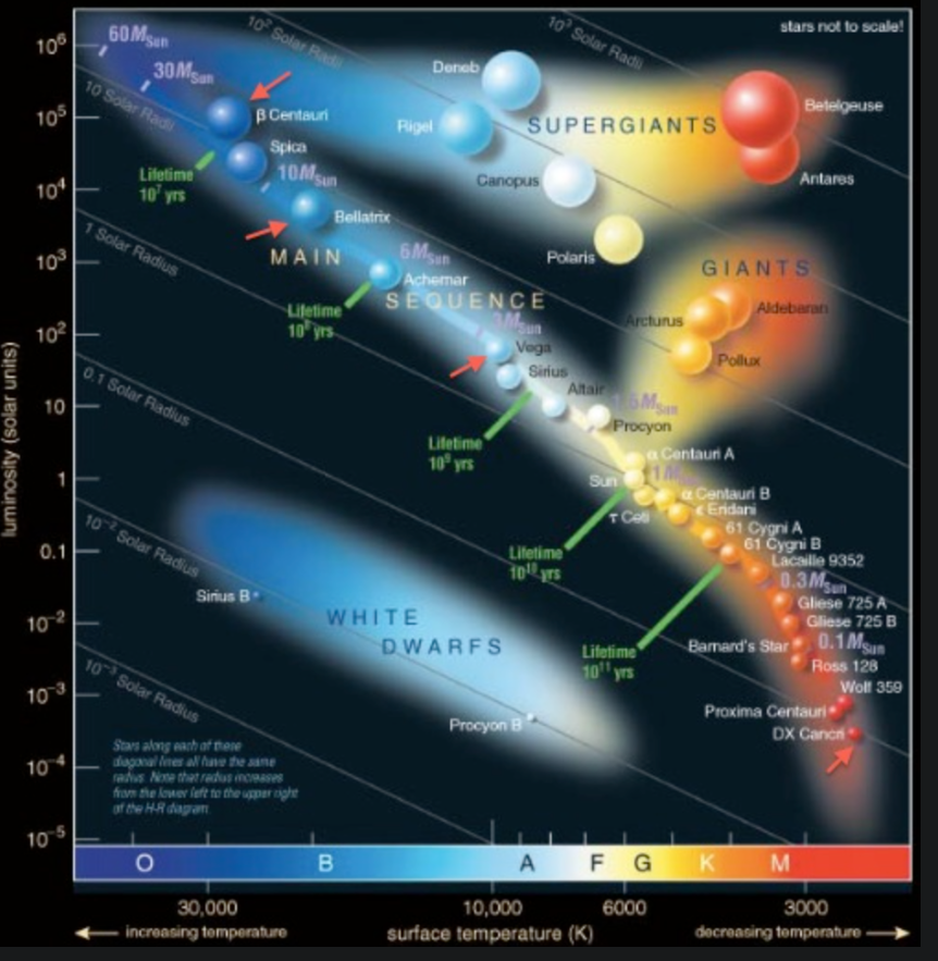<p>20.</p><p>Study this H-R diagram. Which of the following stars is the most massive? (The red arrows help you locate these stars on the diagram.)</p><ul><li><p>DX Cancri</p></li><li><p>Beta Centauri</p></li><li><p>Bellatrix</p></li><li><p>Vega</p></li></ul><p></p>