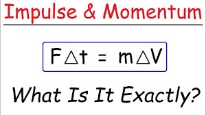 <p>the change in momentum</p>