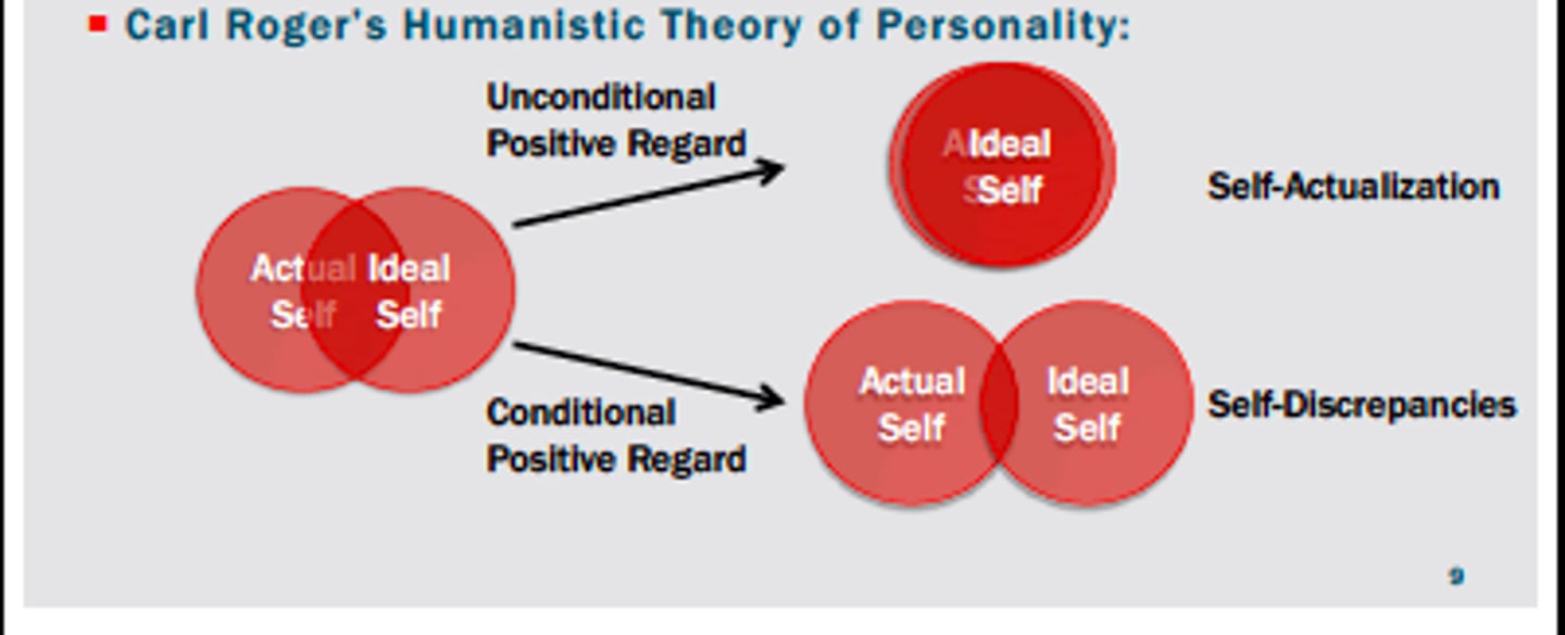 <p>theories of motivation which focus on human potential and the drive to be the best a person can be</p>
