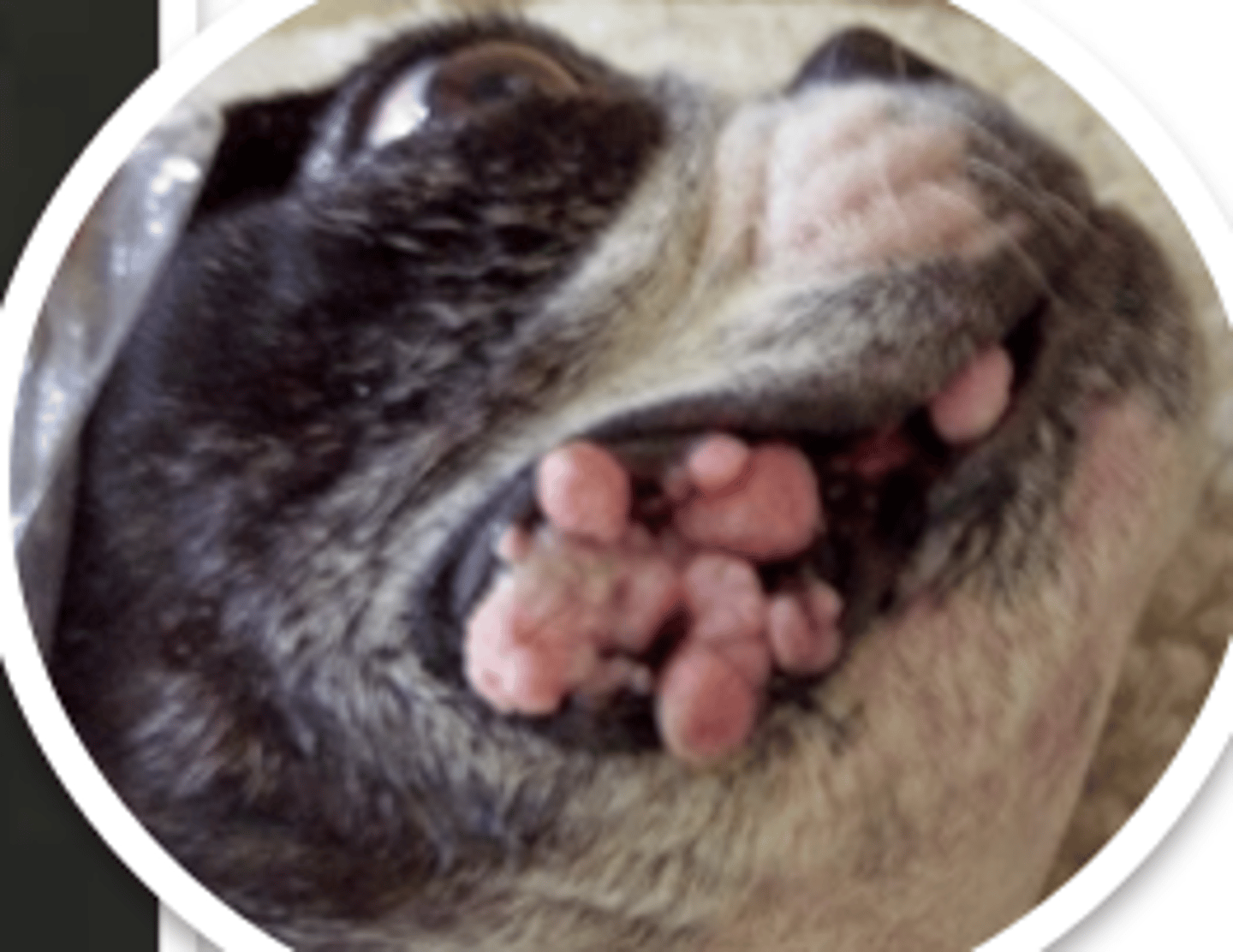 <p>what are these called?</p>