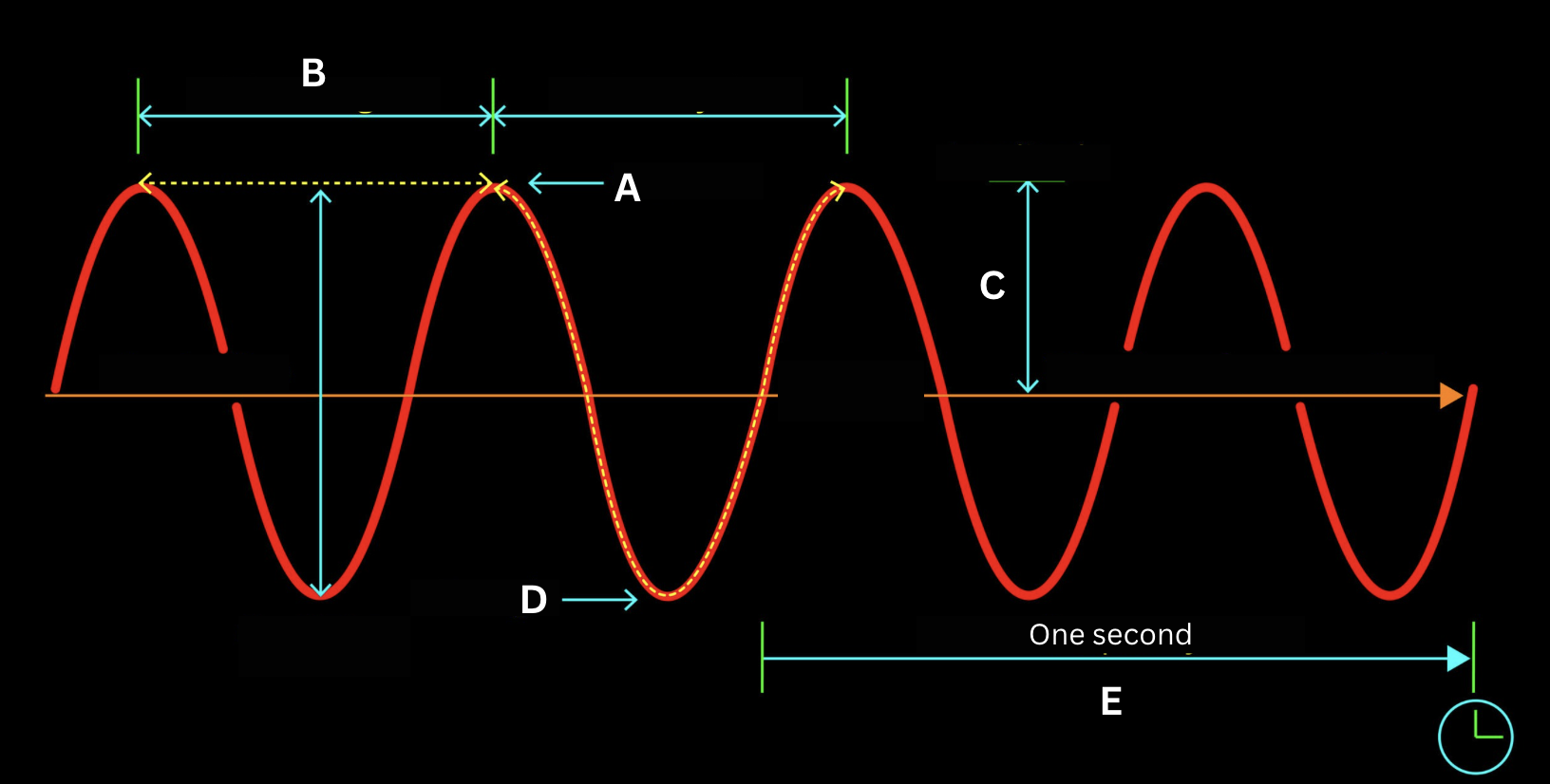 <p>Identify the structure of the electromagnetic wave labeled by the letter <strong>D</strong>.</p>