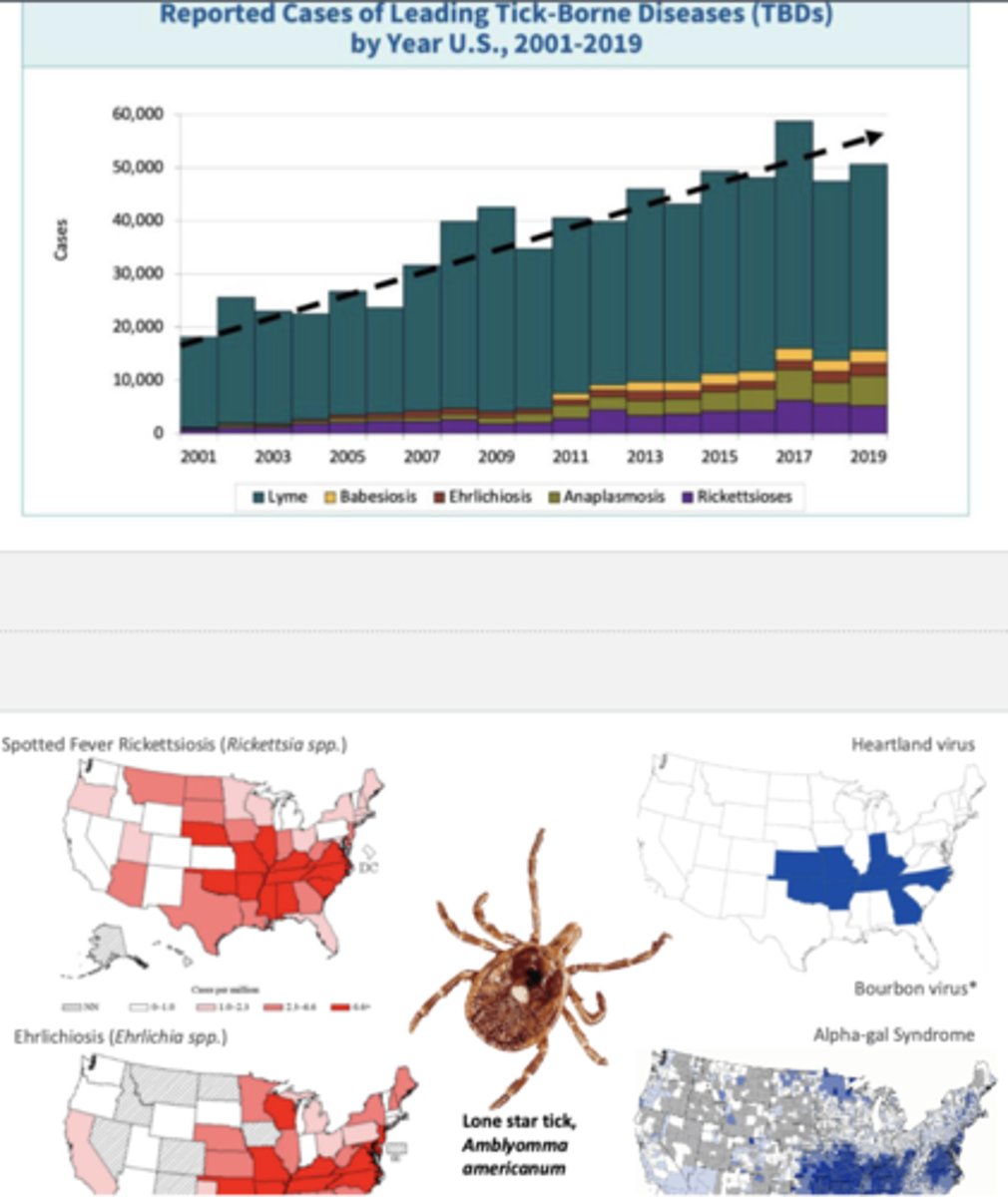 <p>The bar graph shows a clear increasing trend in reported tick-borne disease cases over time, especially Lyme disease; many ticks (i.e. lone star tick) have expanded due to warmer winters and longer growing seasons due to climate change, extending active seasons for ticks and improving reproduction</p><p>-additionally, suburban development near forests increases chance of tick bites</p><p>-emergence of new tick-borne pathogens like Heartland virus and Bourbon virus, present in Missouri and Kansas, has also increased rates</p>