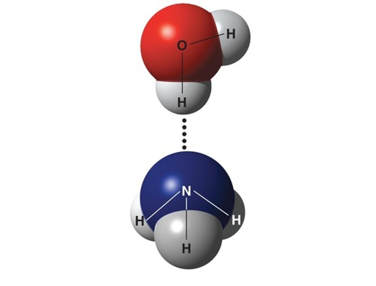 <p>Requires a H covalently bonded to an electronegative atom, usually O or N.</p>