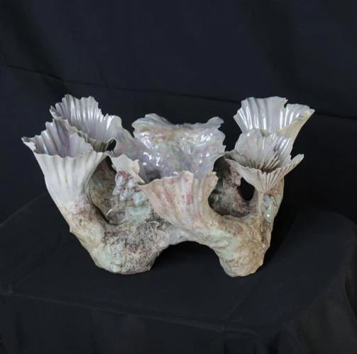 <p>Exterior form</p>