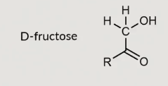 <p>D fructose</p>