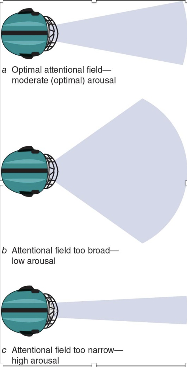 <ul><li><p><span style="background-color: transparent;"><span>Increased muscle tension, fatigue, and coordination difficulties&nbsp;</span></span></p></li><li><p><span style="background-color: transparent;"><span>Changes in attention, concentration, and visual search</span></span></p><ul><li><p><span style="background-color: transparent;"><span>Narrowing of attention</span></span></p></li><li><p><span style="background-color: transparent;"><span>Attending to inappropriate cues</span></span></p></li><li><p><span style="background-color: transparent;"><span>Visual cues are differently identified and processed when performers are anxious&nbsp;</span></span></p></li><li><p><span style="background-color: transparent;"><span>Performance worries and situational- irrelevant&nbsp;</span></span></p></li></ul></li></ul><p></p>