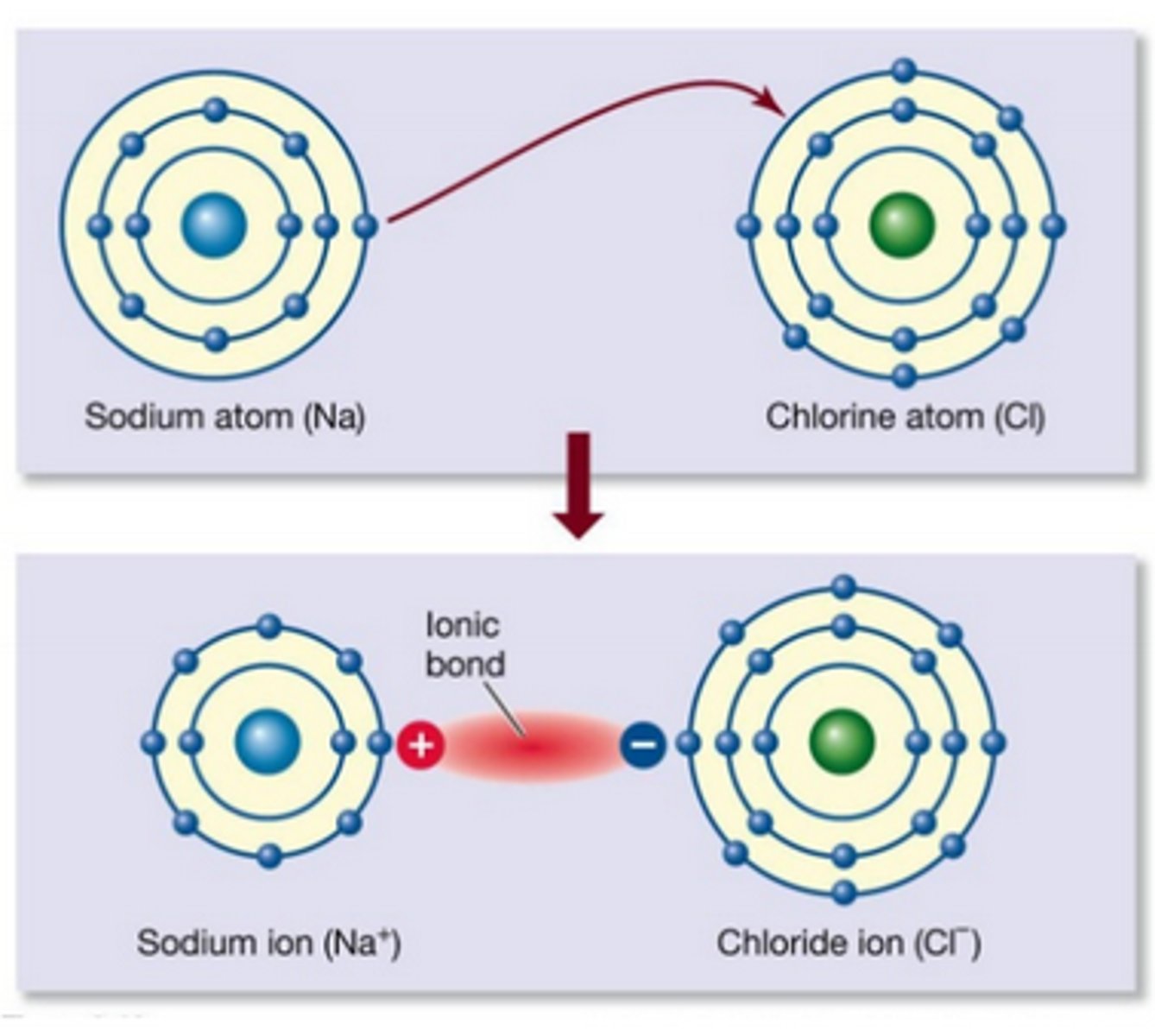 <p>Ions and ionic compounds</p>