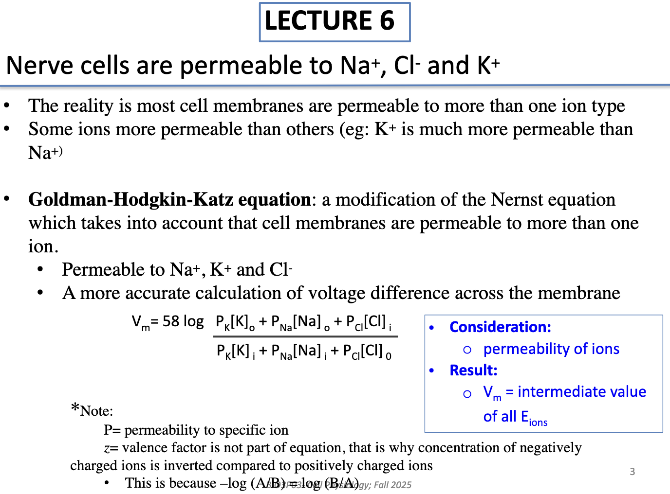 <ul><li><p>Most membranes are permeable to multiple ions (Na+, K+, Cl−)</p></li><li><p>K+ is usually more permeable than Na+</p></li><li><p><strong>GHK equation</strong> accounts for multiple permeabilities → gives a more accurate calculation of membrane potential</p></li><li><p>If the <strong>permeabilities of ions are not provided</strong>, you can still estimate the membrane potential using the <strong>Nernst equation</strong> for each ion.</p><ol><li><p>Calculate the <strong>equilibrium potential (Eion)</strong> for each ion individually.</p></li><li><p>Compare the Eion values:</p><ul><li><p>If all <strong>equilibrium potentials are equal</strong>, the membrane potential is equal to that value.</p></li><li><p>If they <strong>differ</strong>, the membrane potential will lie <strong>somewhere within the range</strong> of the calculated equilibrium potentials.</p></li></ul></li></ol></li></ul><p></p>