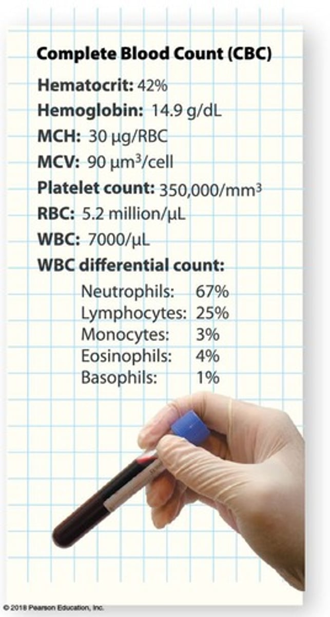 <p>Measures formed elements and RBC health.</p>