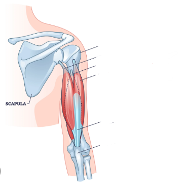 <p>Funktion &amp; Name</p>