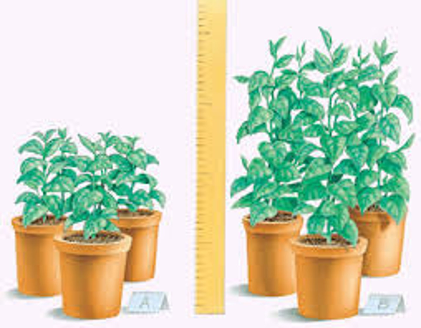 <p>Measured outcome variable in an experiment</p>