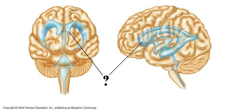 <p><span><span>Identify the indicated portion of this space</span></span></p>