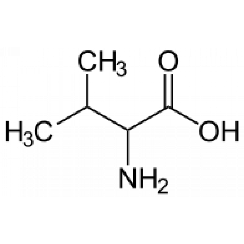 <p></p>