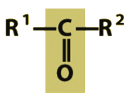 They are found in Steroids, waxes and proteins.

In a ______the carbon forms covalent bonds with two other carbon atoms.