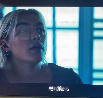 <p>枯れ葉かも</p>