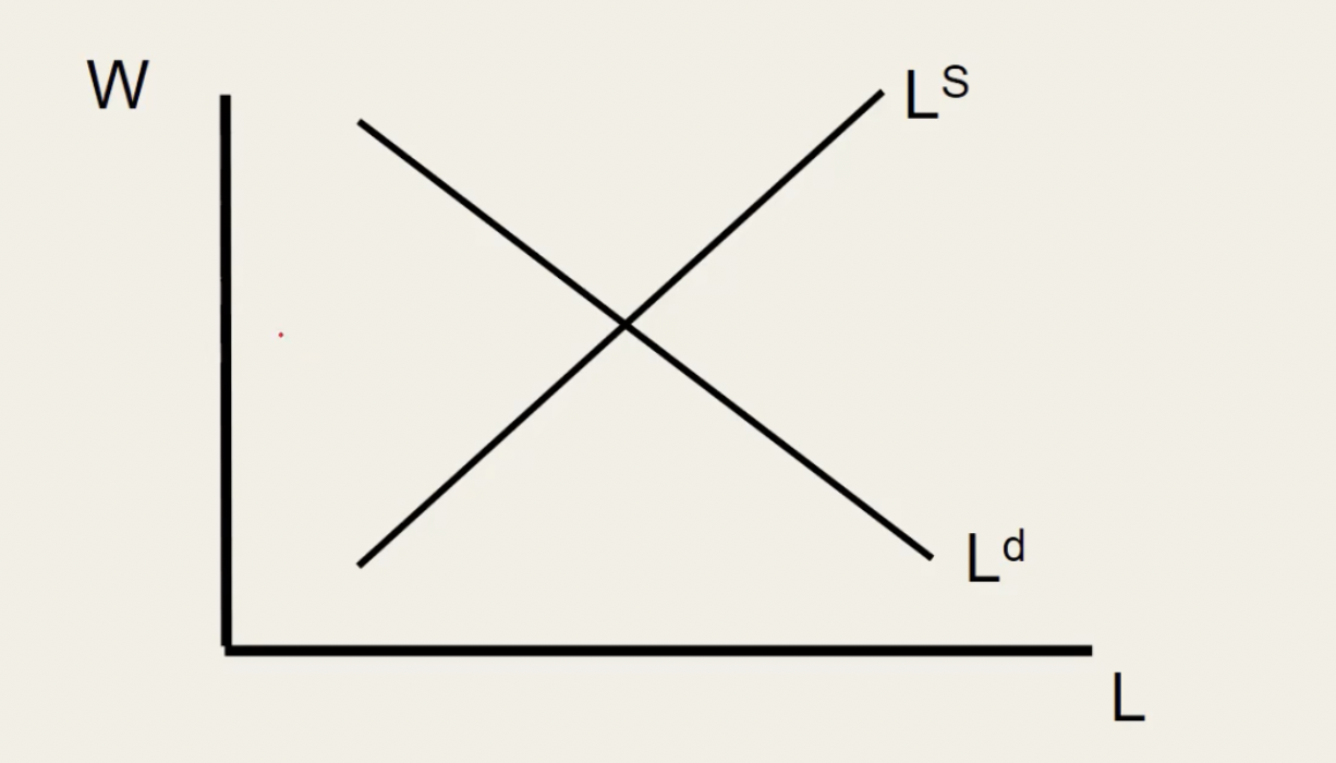 <p>W = wage</p><p>L = labour</p><p>Ls = L supply = from sellers/hhs</p><p>Ld = L demand = from firms/buyers </p>