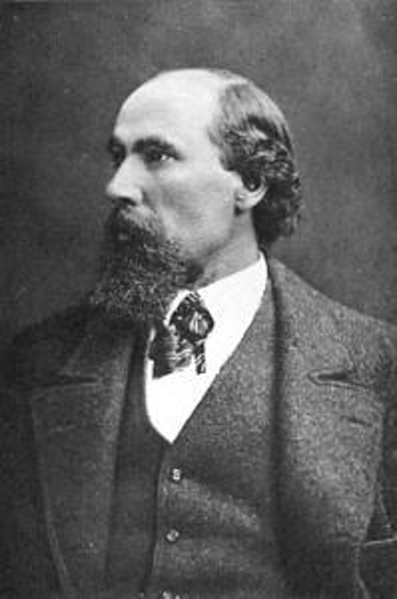 <p>He built the Great Northern Railroad without federal land grants. It was the only transcontinental railroad NOT to go bankrupt.</p>