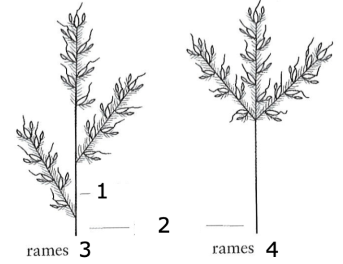 <p>what is 3?</p>