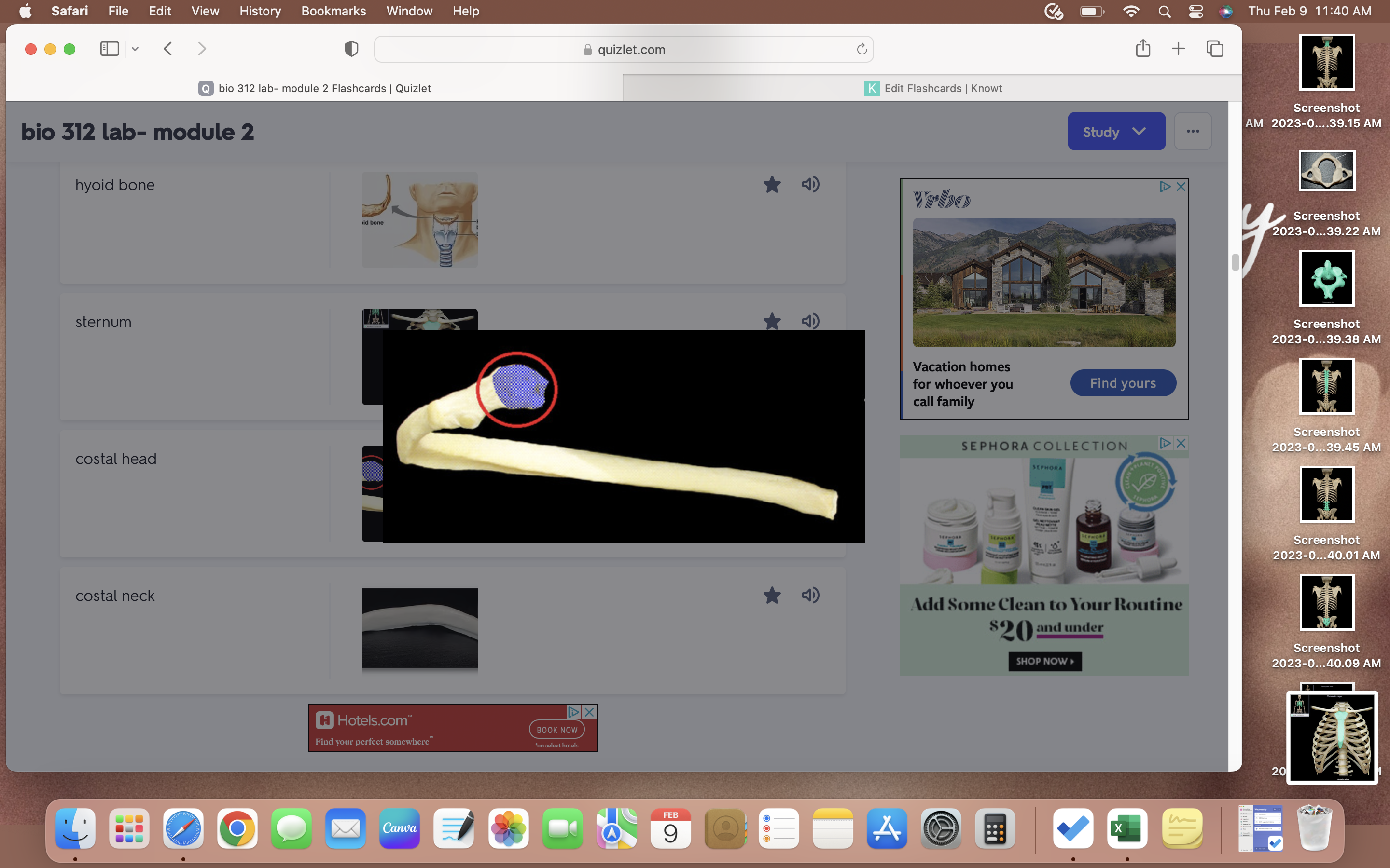 knowt flashcard image