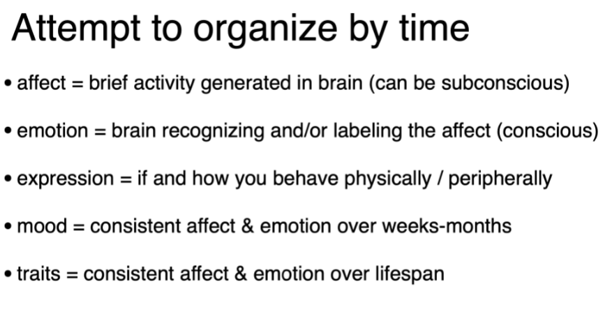 <p>Organization of emotions by time:</p>