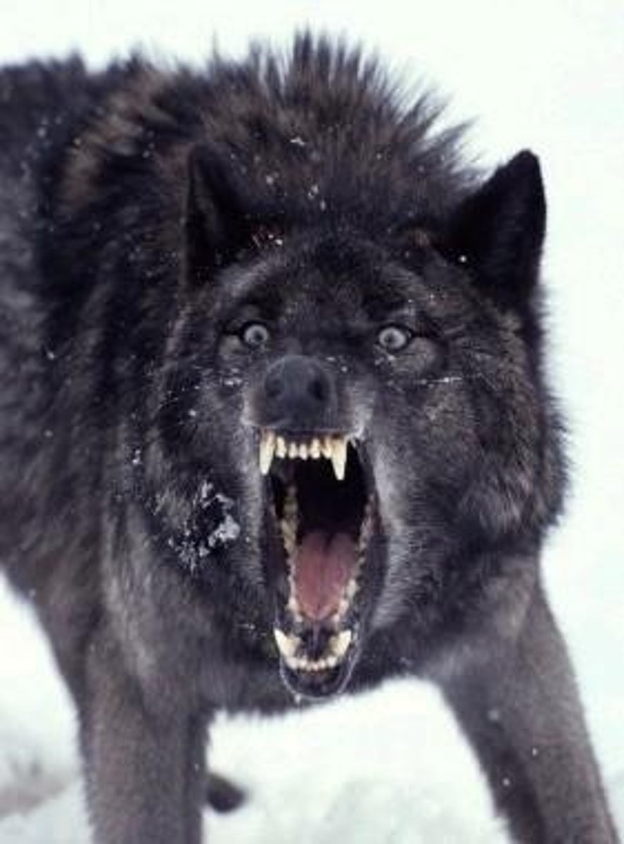 <p>threatening</p>