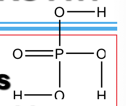 <p>Phosphoric acid (H3PO4) </p>