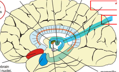 <p>highlighted in blue</p>
