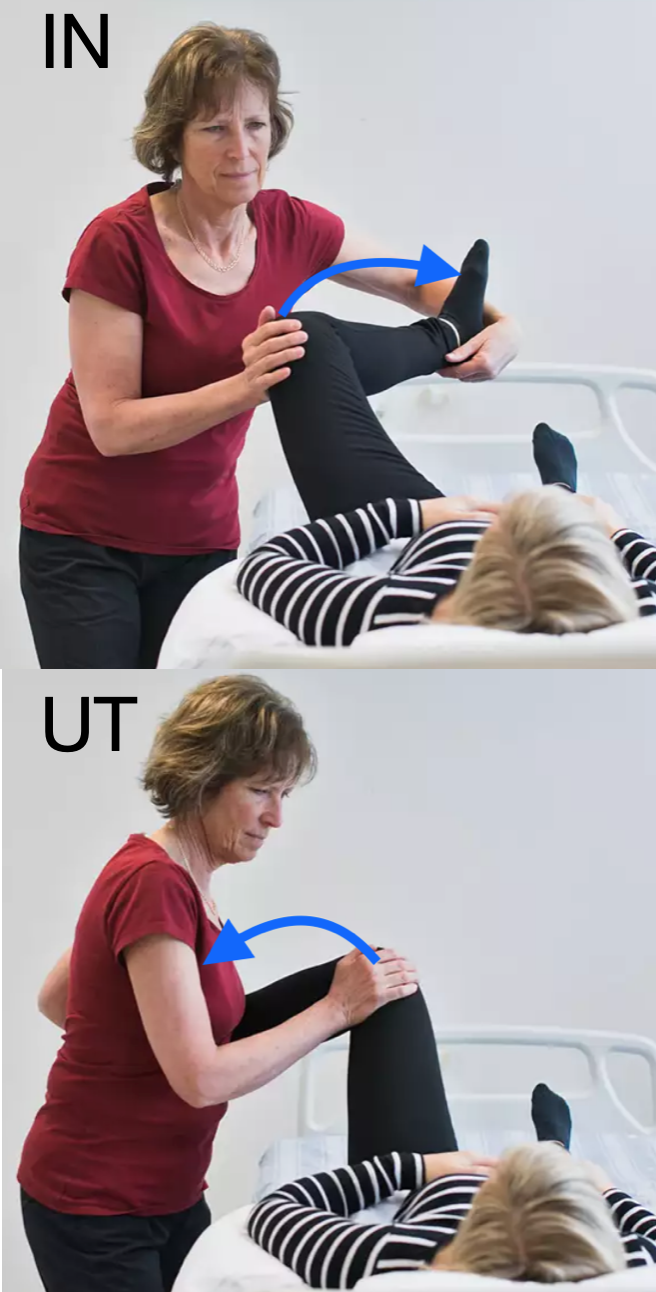 <p><strong>Inåtrotation</strong></p><ul><li><p>Med höft och knä böjt - vrid underbenet inåt</p></li></ul><p><strong>Utåtrotation</strong></p><ul><li><p>Vrid därefter undebenet inåt</p></li></ul>