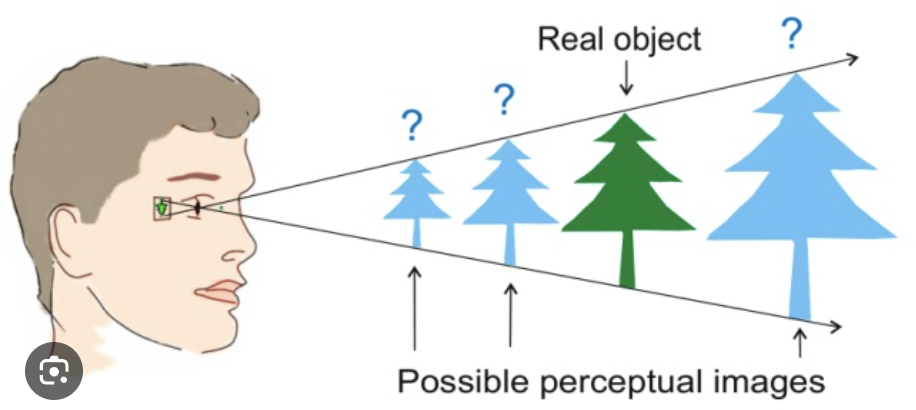 <p>Explain how stereoscopic vision provides depth perception</p>